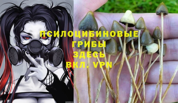 спайс Кукмор
