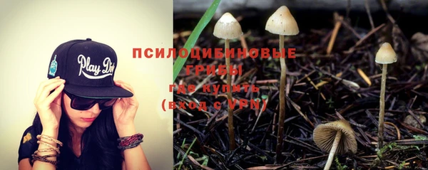 трава Кулебаки